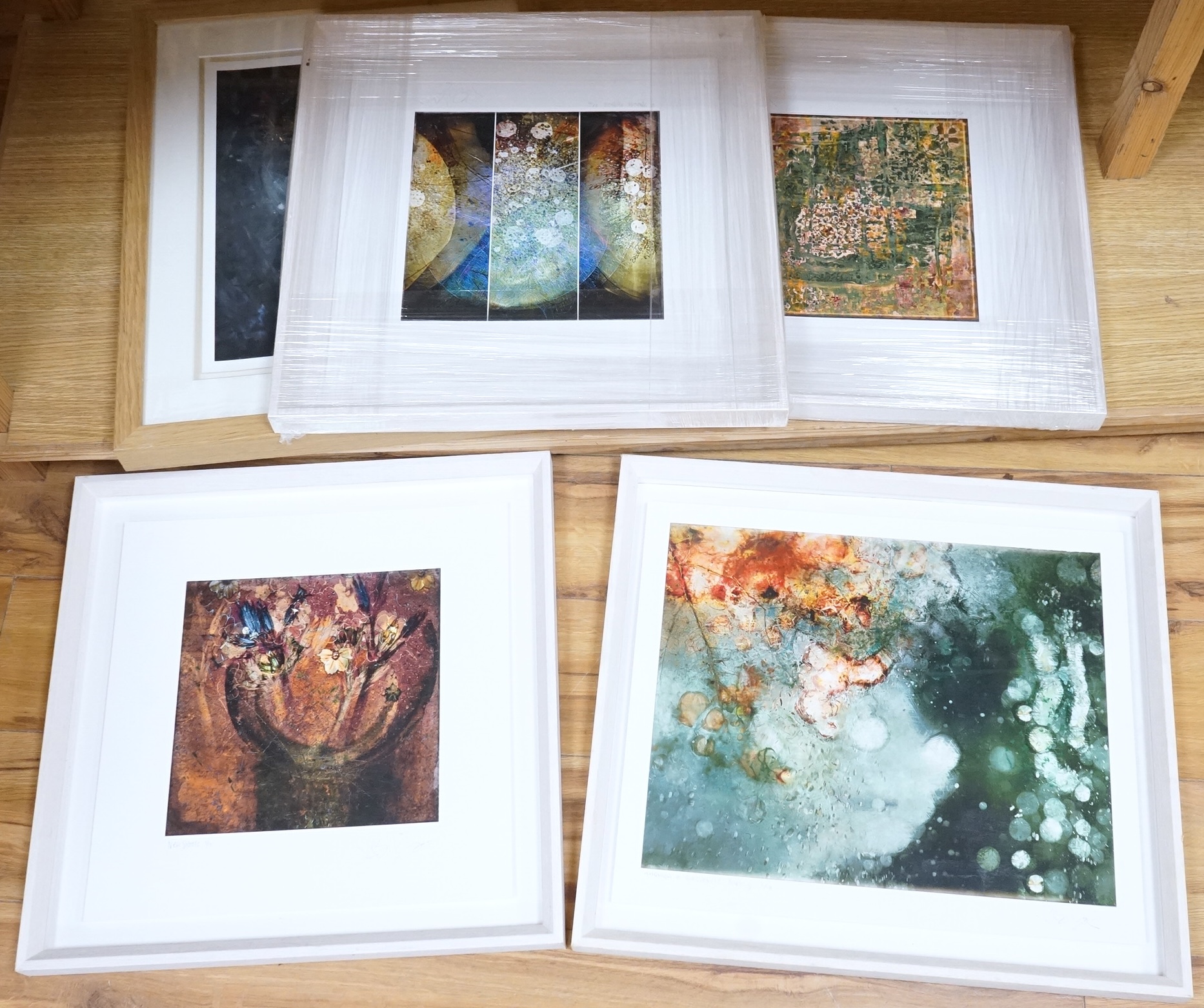 Valda Bailey (Contemporary), Abstract compositions to include ‘New Shoots’, ‘Through a Greenhouse Darkly’ and ‘A Strange Absence’, each signed in pencil, some limited edition, five photographic prints, largest 39 x 49cm